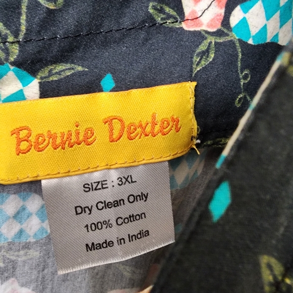 3X Country Apples & Pears Peasant Dress - Picture 4 of 7